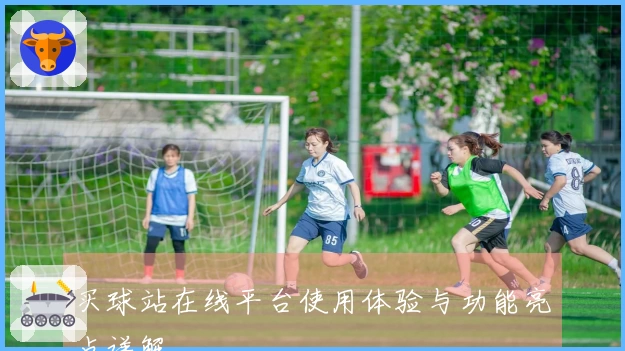 买球站在线平台使用体验与功能亮点详解