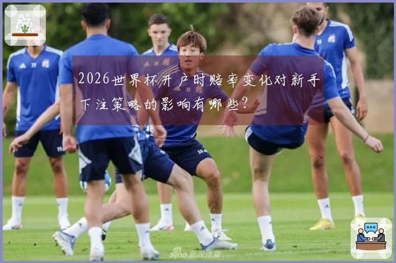 2026世界杯开户时赔率变化对新手下注策略的影响有哪些？