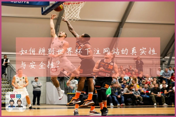 如何辨别世界杯下注网站的真实性与安全性？