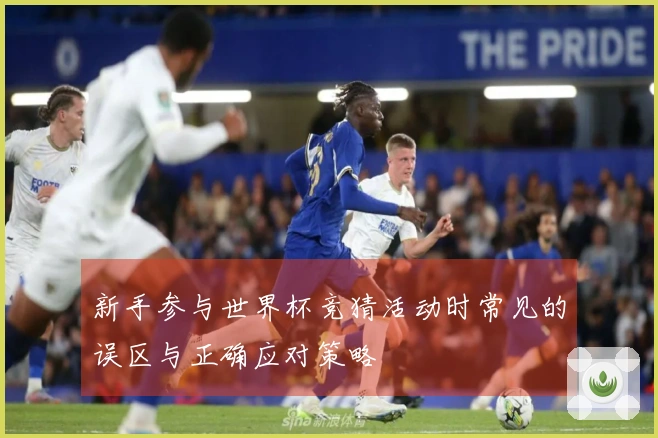新手参与世界杯竞猜活动时常见的误区与正确应对策略