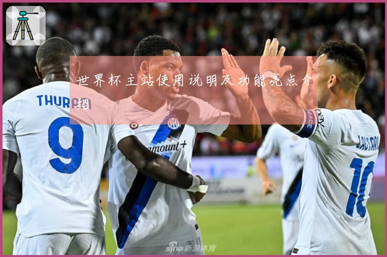 世界杯主站使用说明及功能亮点介绍