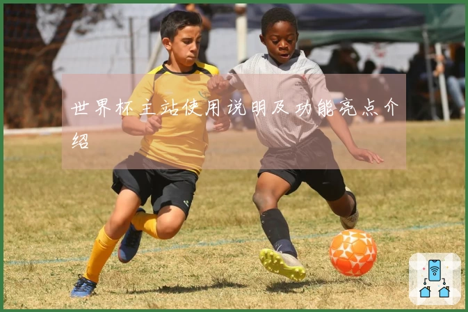 世界杯主站使用说明及功能亮点介绍