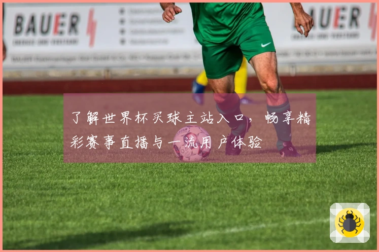 了解世界杯买球主站入口，畅享精彩赛事直播与一流用户体验