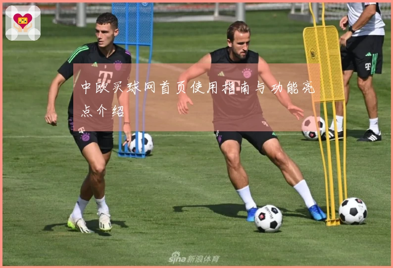 中欧买球网首页使用指南与功能亮点介绍