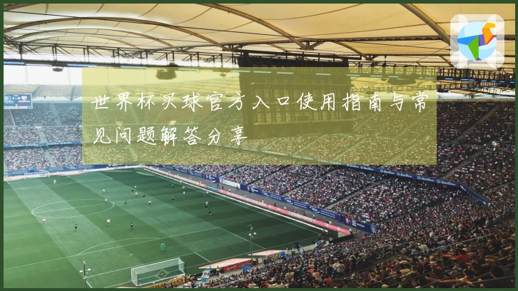 世界杯买球官方入口使用指南与常见问题解答分享