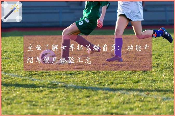 全面了解世界杯买球首页：功能介绍与使用体验汇总