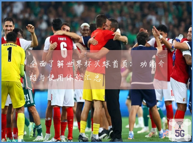 全面了解世界杯买球首页：功能介绍与使用体验汇总