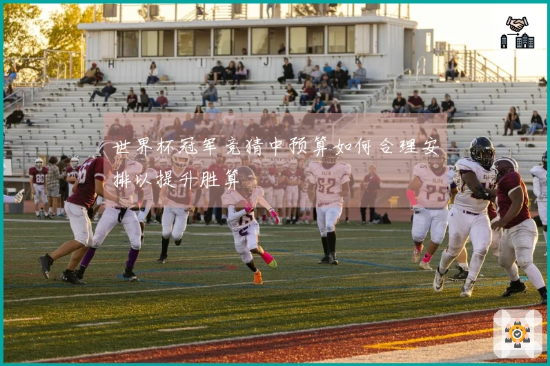 世界杯冠军竞猜中预算如何合理安排以提升胜算