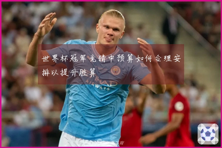 世界杯冠军竞猜中预算如何合理安排以提升胜算
